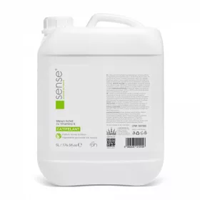 Folyékony Szappan Honey and Melon, 5L - SENSE